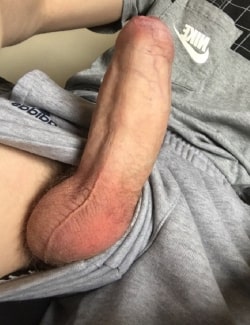 Big cock out of grey shorts